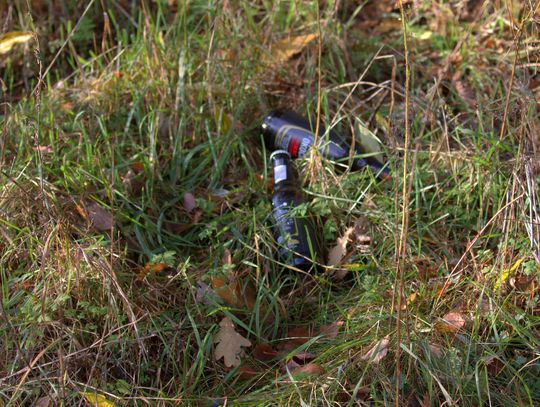 Człowiek to jednak zadziwiające stworzenie...