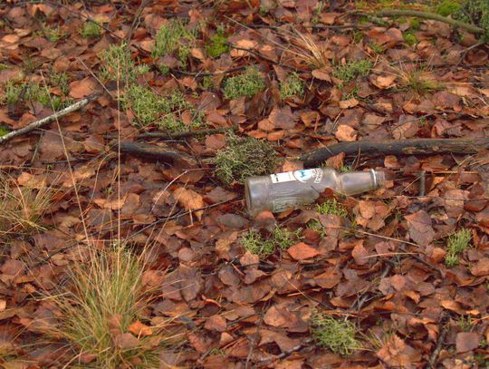 Człowiek to jednak zadziwiające stworzenie...