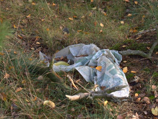 Człowiek to jednak zadziwiające stworzenie...