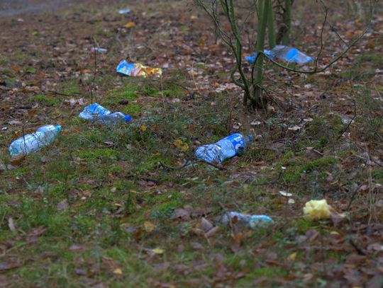 Człowiek to jednak zadziwiające stworzenie...