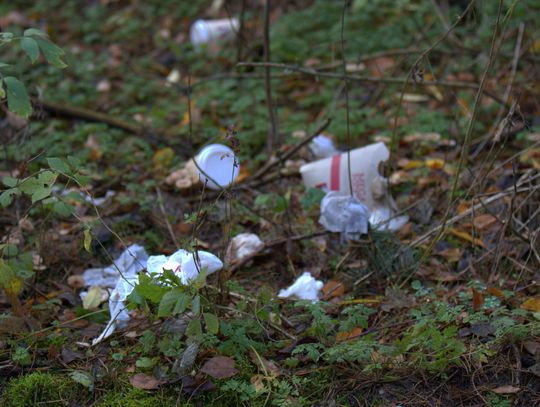 Człowiek to jednak zadziwiające stworzenie...