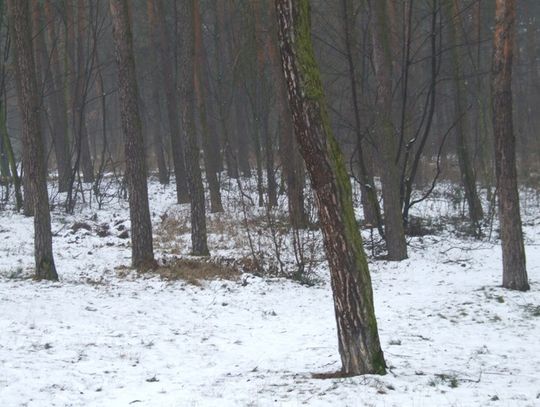 Oszczędzanie cudzym kosztem