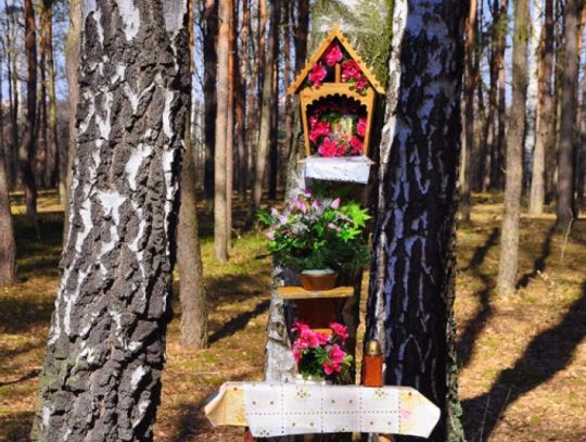 Tomaszowskie kościoły i kapliczki - czy wszystkie je znacie?