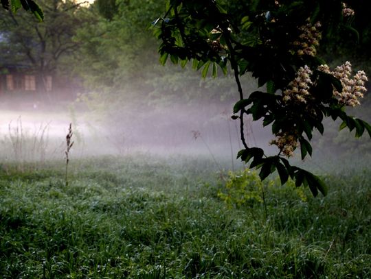 Ranek nad Pilicą Ranek nad Pilicą