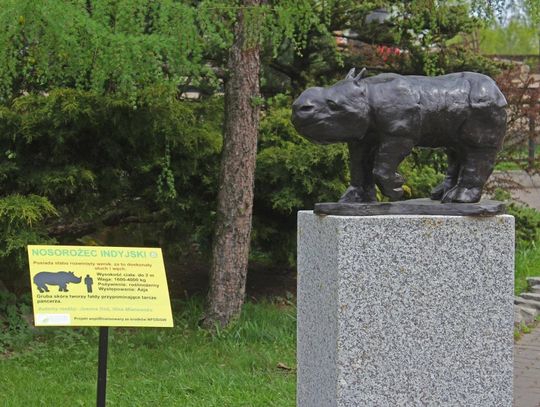 Rzeźby zwierząt autorstwa uczniów ZSP nr 6 w warszawskim zoo!