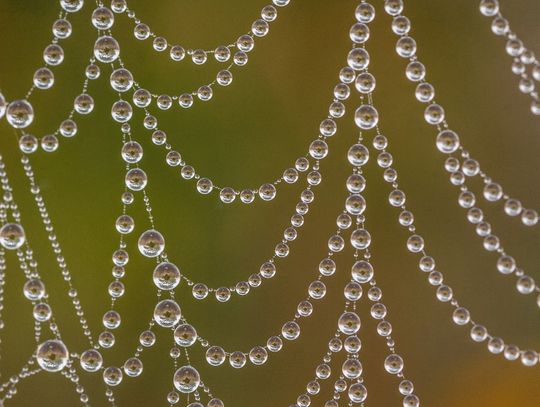 Świat z całkiem bliska