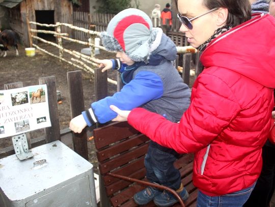 (FOTO) Żywa szopka przy parafii Najświętszego Serca Jezusowego