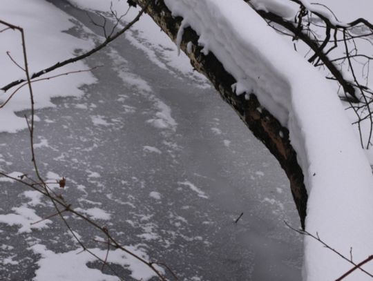 Przysypało wszystko na biało