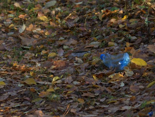 Człowiek to jednak zadziwiające stworzenie...