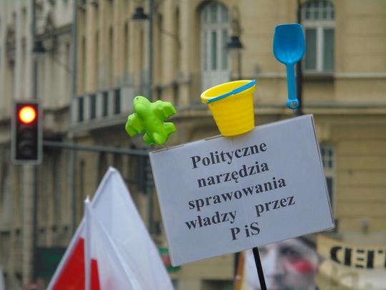 Nowocześni z Tomaszowa protestowali w Warszawie