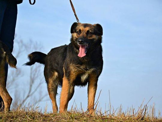 Beryl,Buba i Gabor czekają na Ciebie Beryl,Buba i Gabor czekają na Ciebie