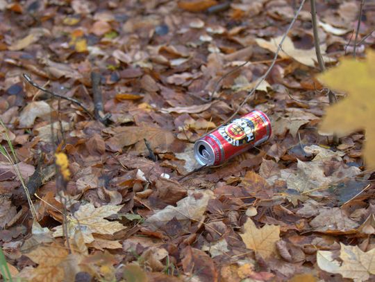 Człowiek to jednak zadziwiające stworzenie...