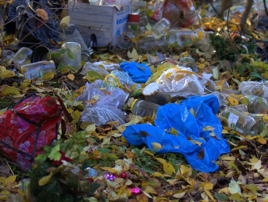 Człowiek to jednak zadziwiające stworzenie...