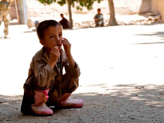 Wspierają rolników w Afganistanie Wspierają rolników w Afganistanie