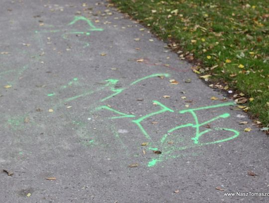 Bo tak podpowiada psi instynkt