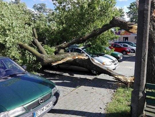 Wiało w mieście i nie tylko