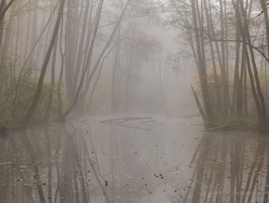 Niebieskie Źródła - spacer o każdej porze roku