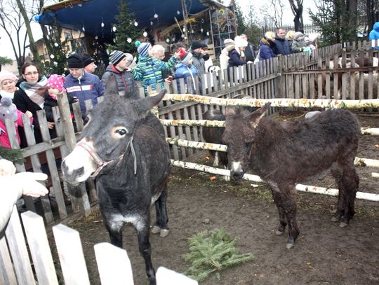 (FOTO) Żywa szopka przy parafii Najświętszego Serca Jezusowego