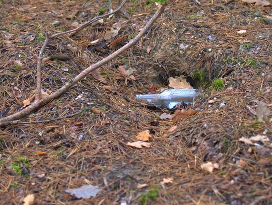 Człowiek to jednak zadziwiające stworzenie...