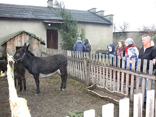 (FOTO) Żywa szopka przy parafii Najświętszego Serca Jezusowego