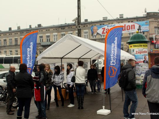 2010 - Wybory Samorządowe