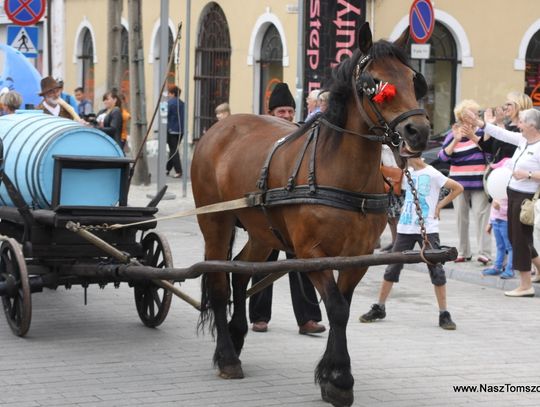 Kolorowa parada przeszła ulicami miasta