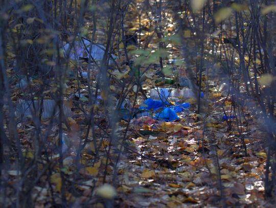 Człowiek to jednak zadziwiające stworzenie...