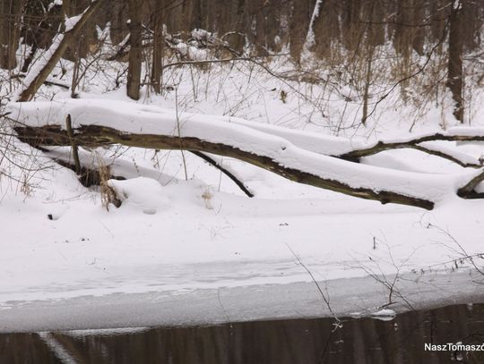 Przysypało wszystko na biało