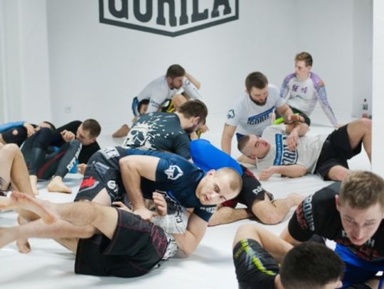 Kolejny prestiżowy trening w Academia Gorilla Tomaaszów