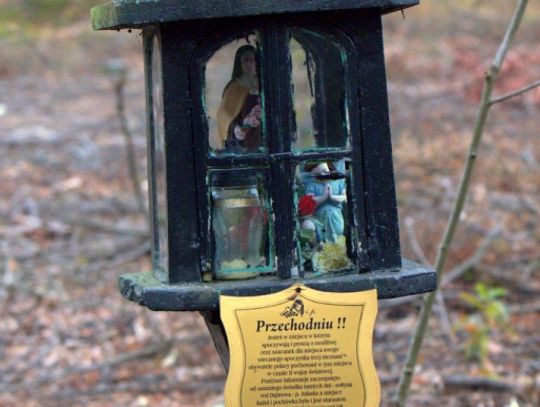 Jesienny przeplataniec