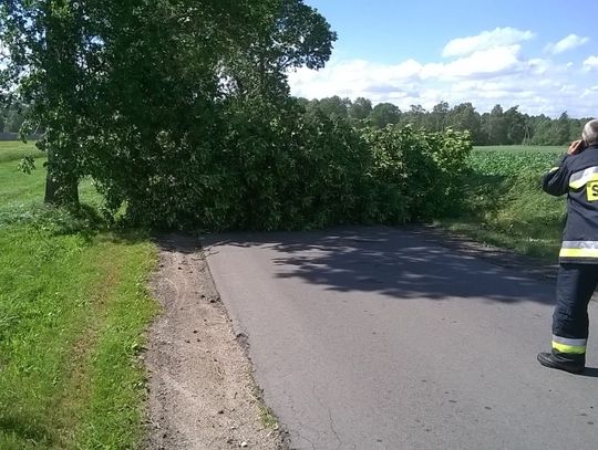 Wiało w mieście i nie tylko