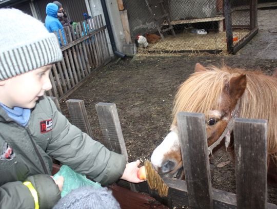 (FOTO) Żywa szopka przy parafii Najświętszego Serca Jezusowego