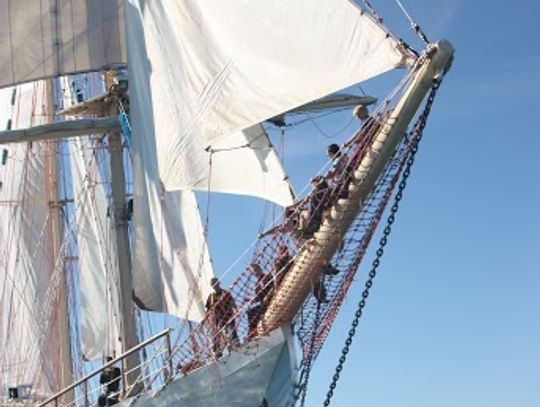 Tomaszów pod żaglami Pogorii