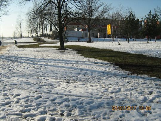 Jeszcze jeden sposób na walkę ze smogiem