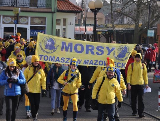 Tomaszowskie Morsy znów biły rekord Guinnessa! Tomaszowskie Morsy znów biły rekord Guinnessa!