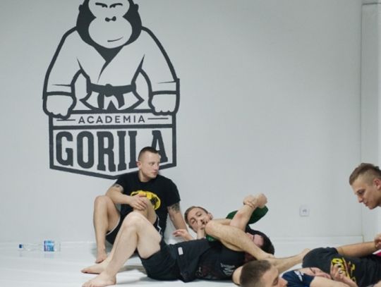Kolejny prestiżowy trening w Academia Gorilla Tomaaszów