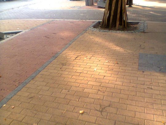 Na całkiem zabetonowanej nawierzchni zimą będzie można jeździć na łyżwach, a wiosną/jesienią chodzić w modnych obecnie gumiakach. Na całkiem zabetonowanej nawierzchni zimą będzie można jeździć na łyżwach, a wiosną/jesienią chodzić w modnych obecnie gumiakach.