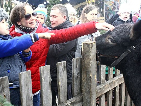 (FOTO) Żywa szopka przy parafii Najświętszego Serca Jezusowego