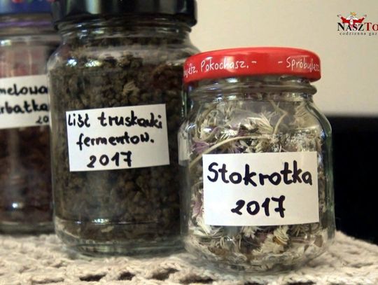 Spotkanie z wiedźmą - zielarką - kawa czy może herbata?