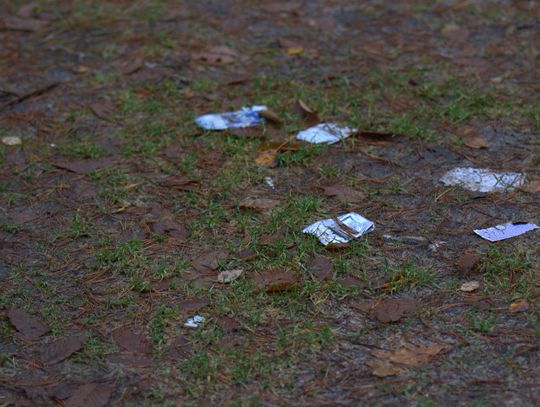 Człowiek to jednak zadziwiające stworzenie...