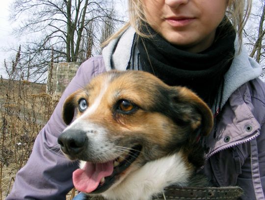 Czy te oczy mogą kłamać Czy te oczy mogą kłamać