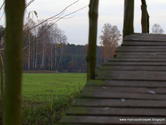 Jesienny przeplataniec