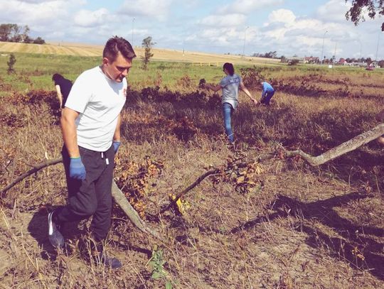 Krajobraz po politycznej nawałnicy. Czy możemy czuć się bezpiecznie?