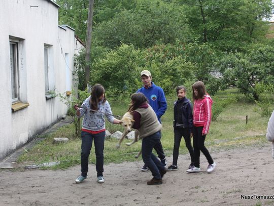 Dzieci, młodzież i dorośli angażują przy pracy w Schronisku, pomagając bezpańskim psiakom