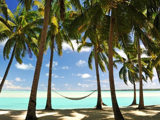 Zaczyna się sezon na egzotykę. Gdzie jechać?