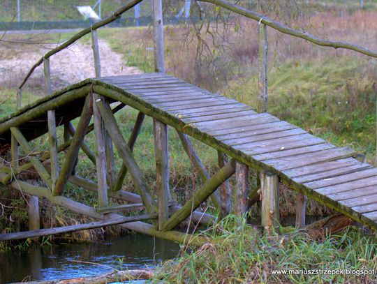 Jesienny przeplataniec