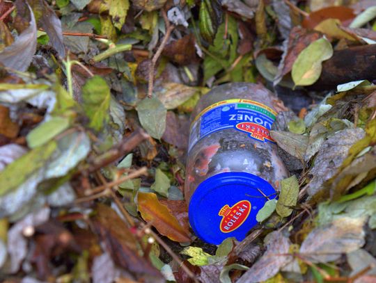 Człowiek to jednak zadziwiające stworzenie...