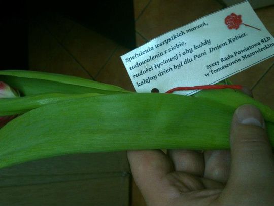 Z tulipanami w rękach