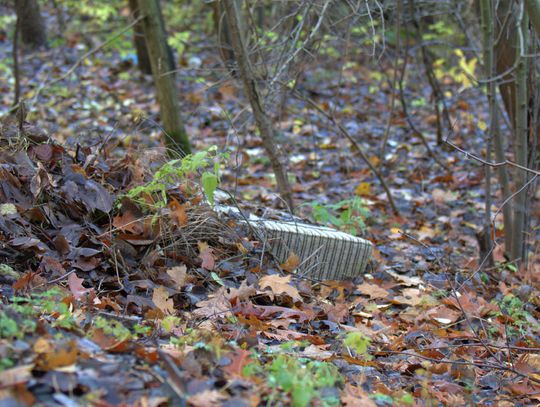 Człowiek to jednak zadziwiające stworzenie...