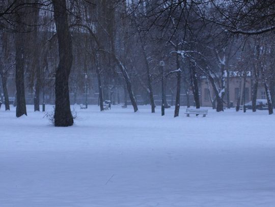 Miał być śnieg... ale w lutym